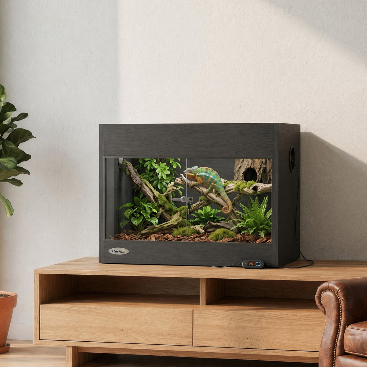 Black wooden vivarium with glass doors