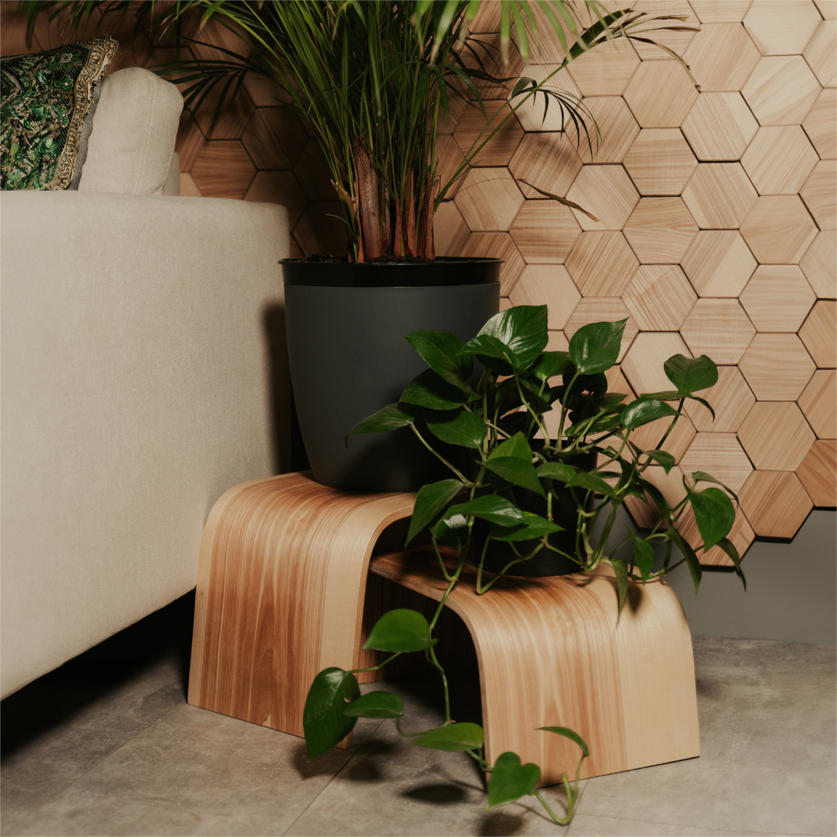 Curved wooden plant stands in ash holding potted plants beside a sofa