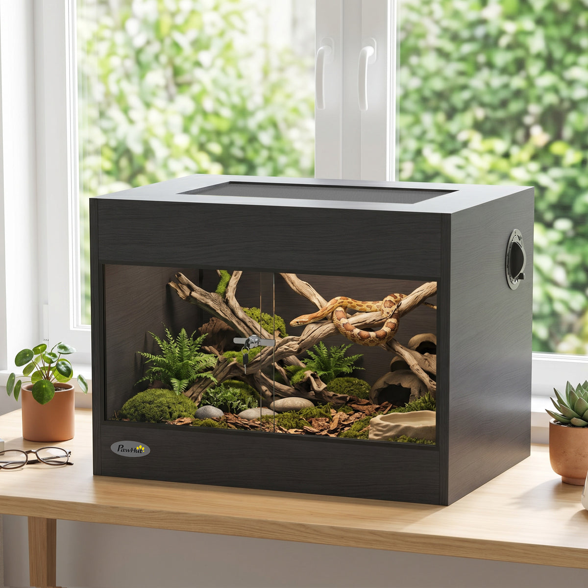 Black wooden vivarium with glass doors