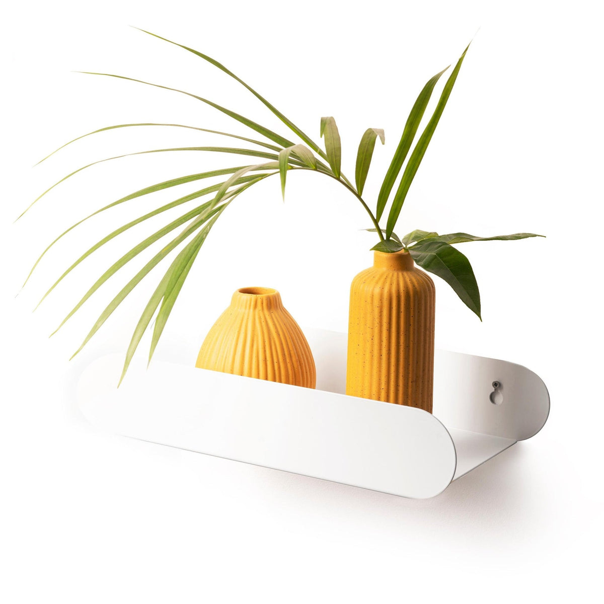 Minimalist oval floating wall shelf mounted above a desk