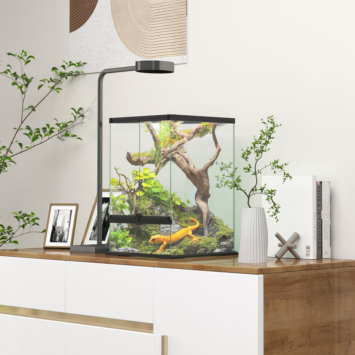 Tall 40 litre glass vivarium
