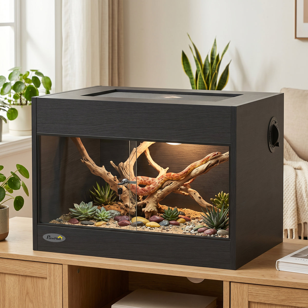 Black wooden vivarium with glass doors
