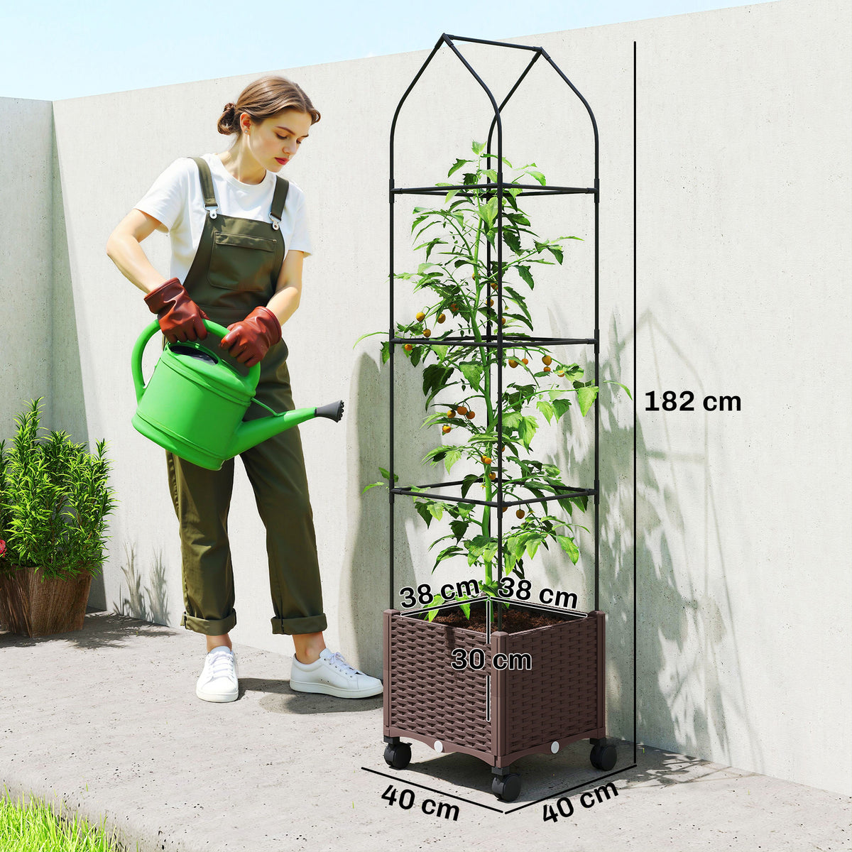 Self-Watering Planter with Trellis