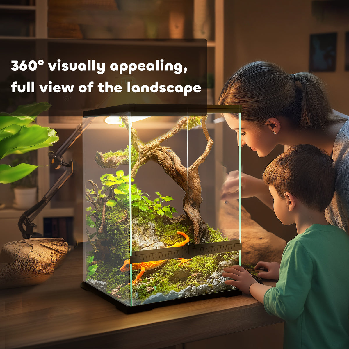 Tall 40 litre glass vivarium