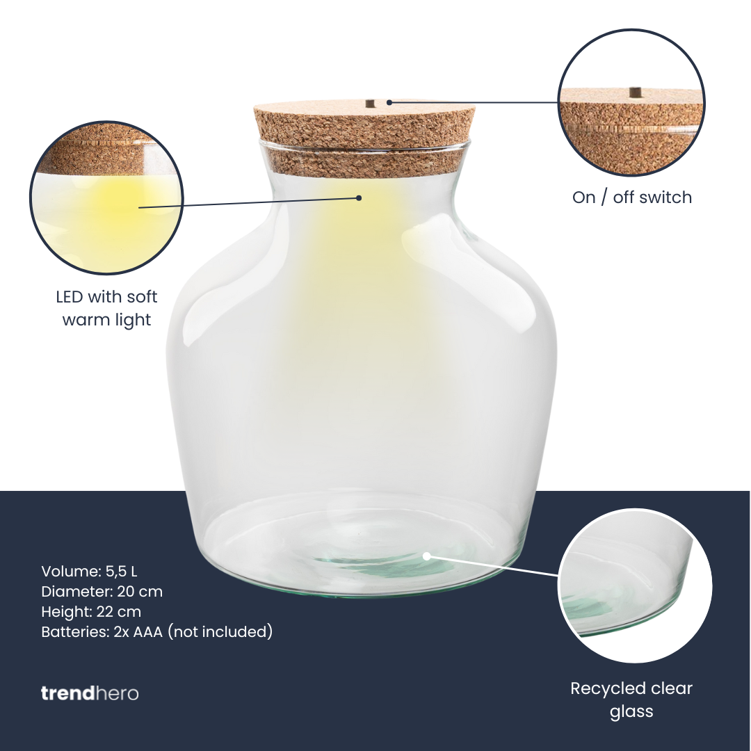 Terrarium Bottle 'Little Joe' - Incl. Led Cork - Closed Terrarium Ø 20 Cm ↑ 22 Cm