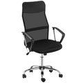 Ergonomic Mesh Office Chair