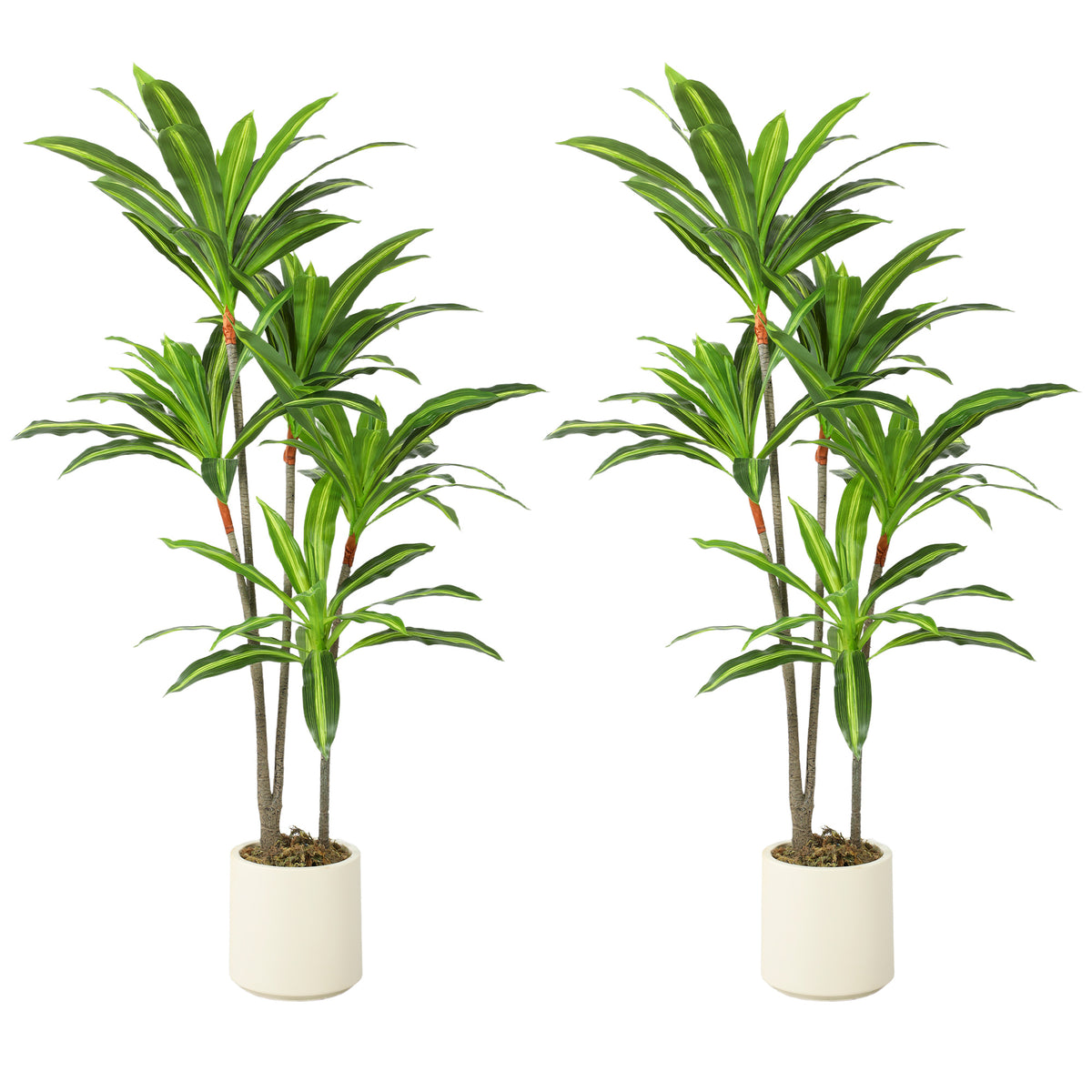 Artificial Dracaena Trees 150cm, Set of 2