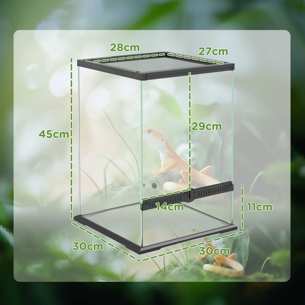 Tall 40 litre glass vivarium