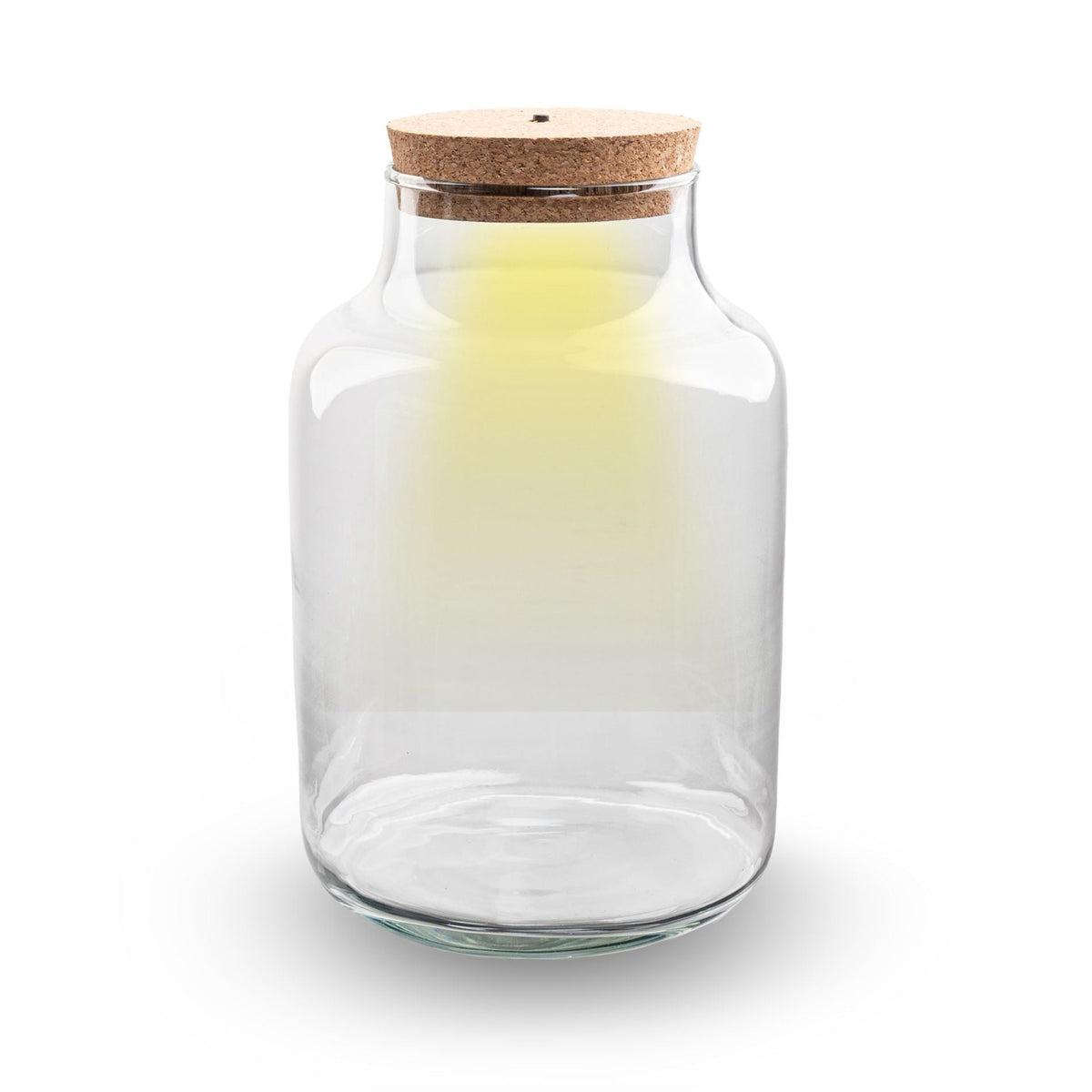 Terrarium Bottle 'Milky' With Led-Lighting - Closed Terrarium Ø 21 Cm ↑ 30 Cm