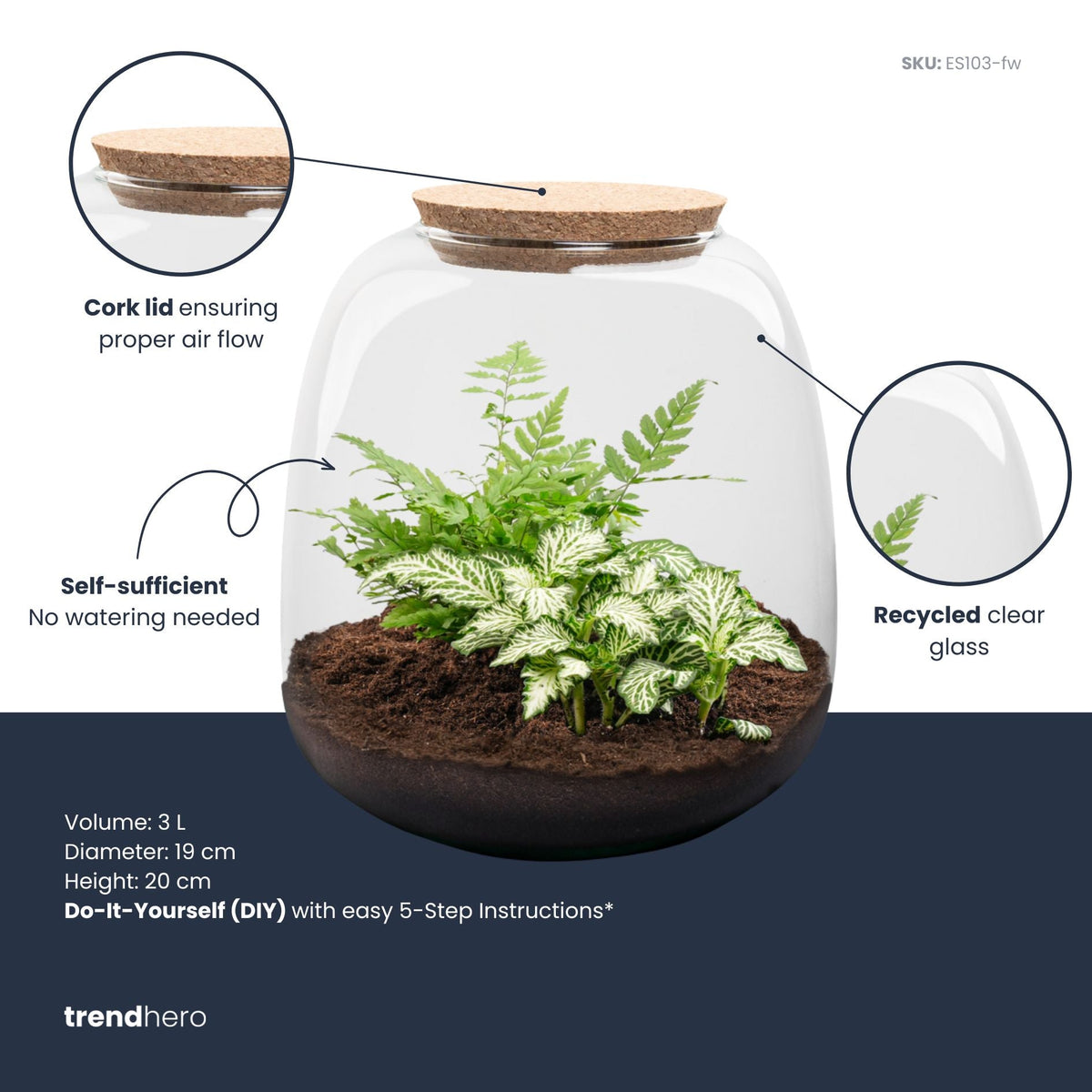 Emma Mini - Terrarium With Cork - Bottle Garden Diy Kit - Ø 19 Cm ↑ 20 Cm