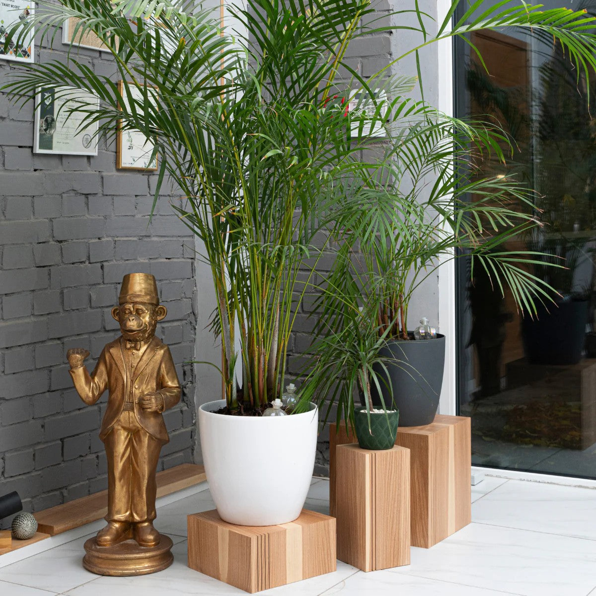 Wooden cube plant stands displaying plants of different heights in a bright room