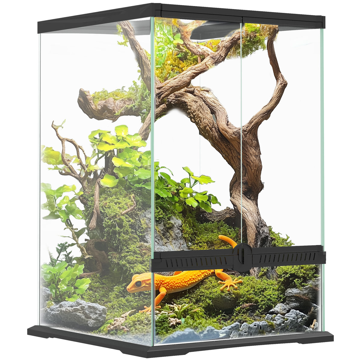 Tall 40 litre glass vivarium