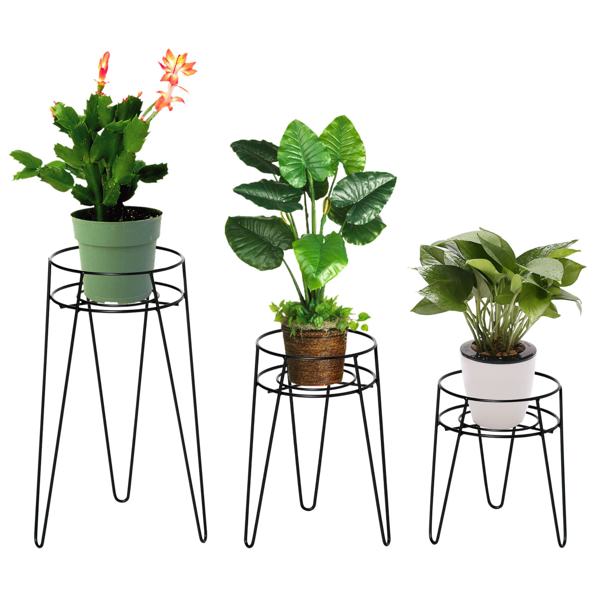 Metal Plant Stands, Set of 3
