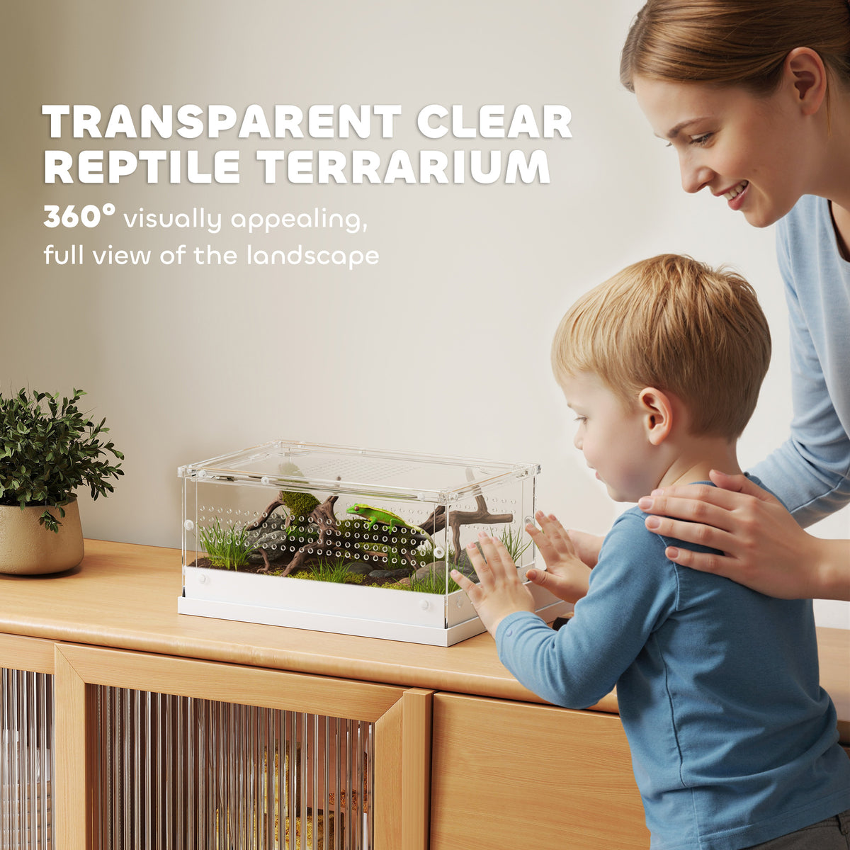 Clear acrylic terrarium with sliding lid